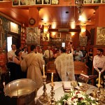 IMG_9006_small