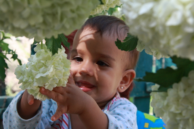 Nadia-flowers-dobrestii.ro