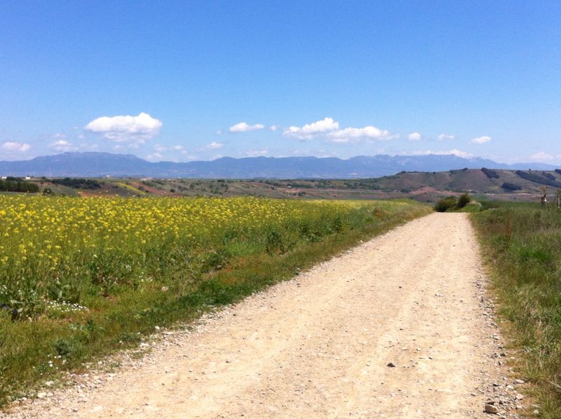 Najera – San Domingo – Belorado: ziua de dupa furtuna