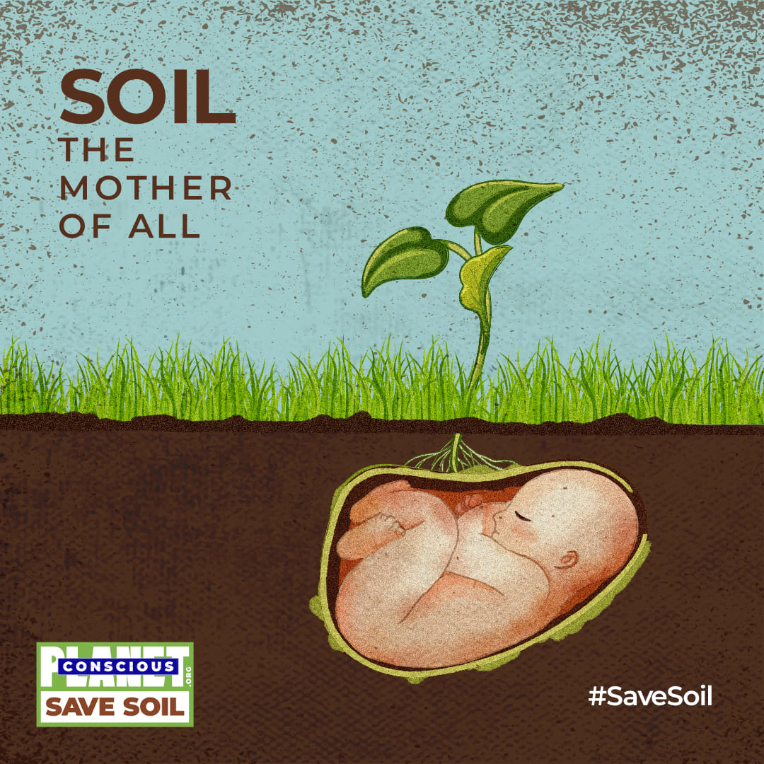 Day 10 - Save Soil