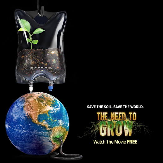 Day 9-Save soil movement
